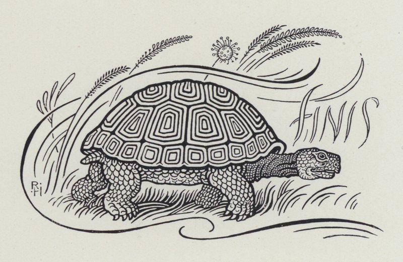 De Haas en de Schildpad (gravure) door Richard Heighway