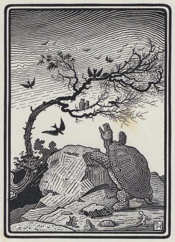 De Schildpad en de Vogels (gravure) door Richard Heighway