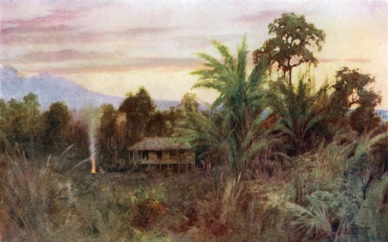 Een bos Tai door Robert George Talbot Kelly