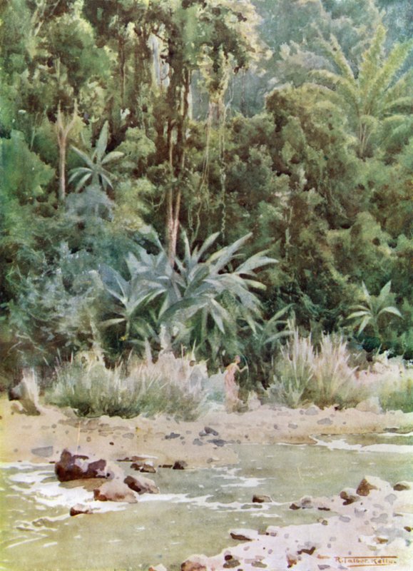 Een Junglebeek door Robert George Talbot Kelly