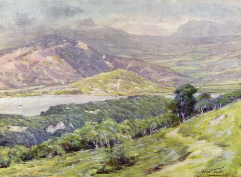 Duffws Mountain in mist door Robert (after) Fowler