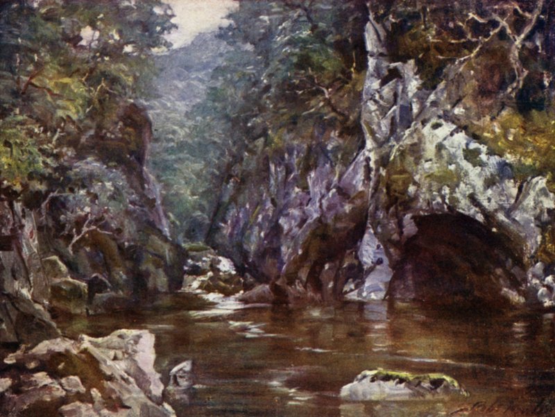 Fairy Glen, Bettws-y-Coed door Robert (after) Fowler