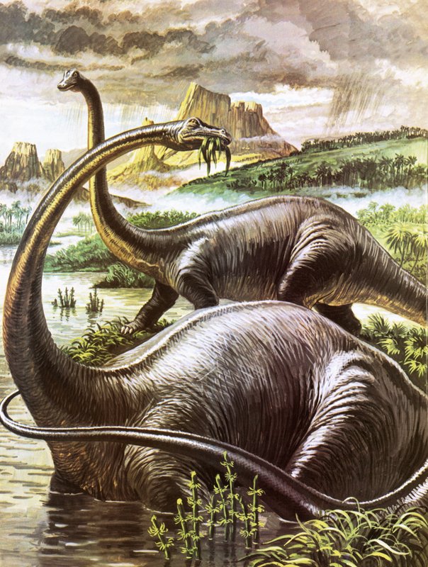 Diplodocus door Roger Payne
