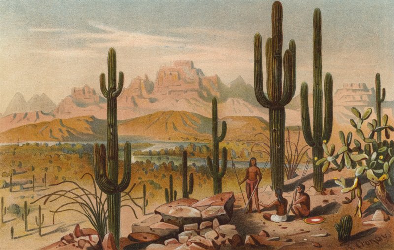 Cactussen in de bergen van Utah, VS door Rudolf Cronau