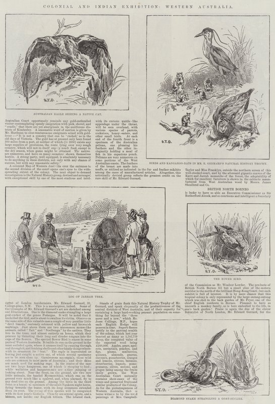 Koloniale en Indiase Tentoonstelling, West-Australië door S.T. Dadd