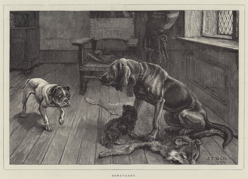 Heiligdom door S.T. Dadd