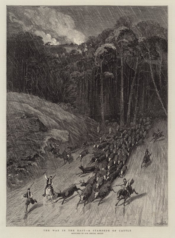 De oorlog in het oosten, een paniek van vee door Samuel Edmund Waller