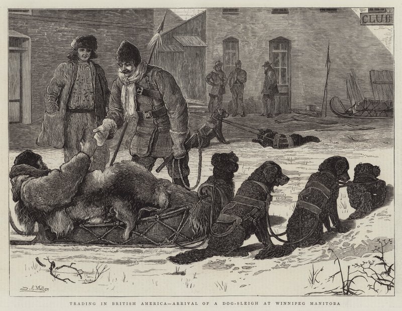 Handel in Brits-Amerika, aankomst van een hondenslee in Winnipeg Manitoba door Samuel Edmund Waller