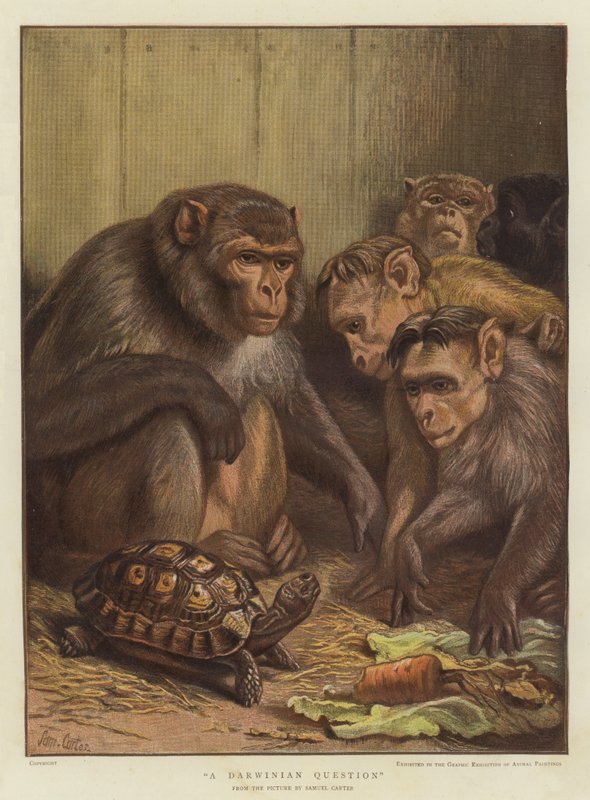 Een Darwinistische vraag door Samuel John Carter