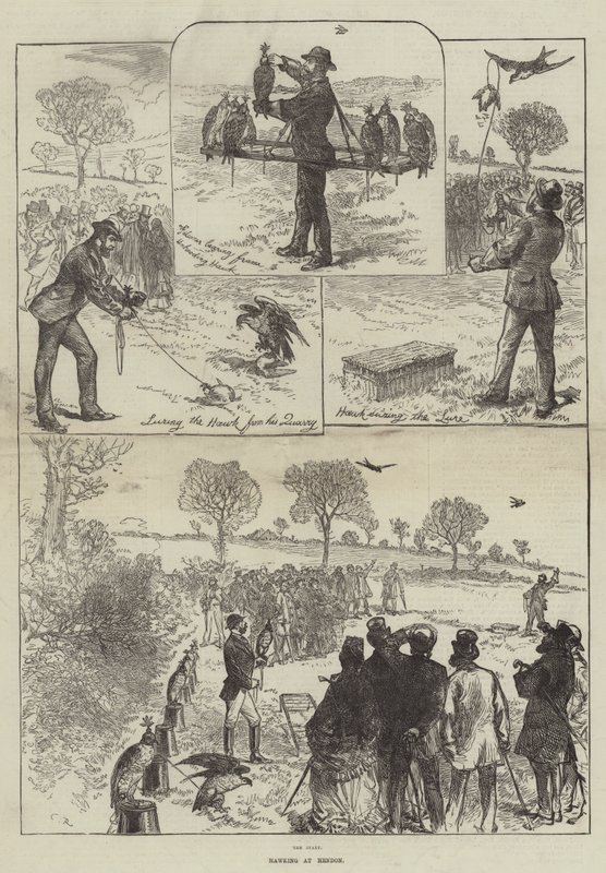 Valkenjacht in Hendon door Sir John Charles Robinson