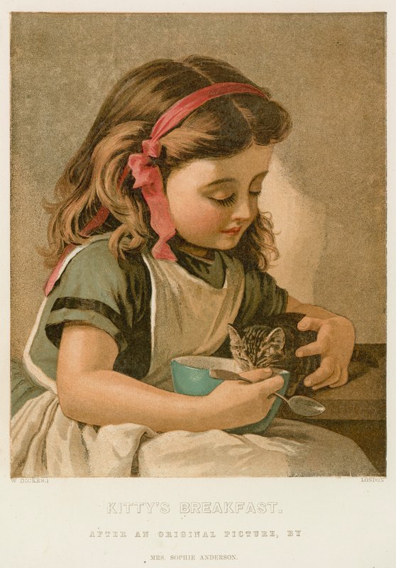 Kitty