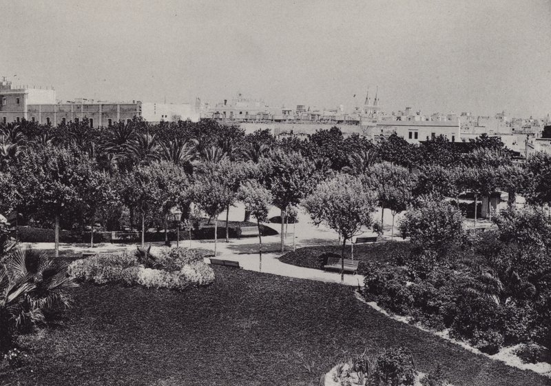 Cadiz: Parque Genoves (zw/w foto) door Spanish Photographer