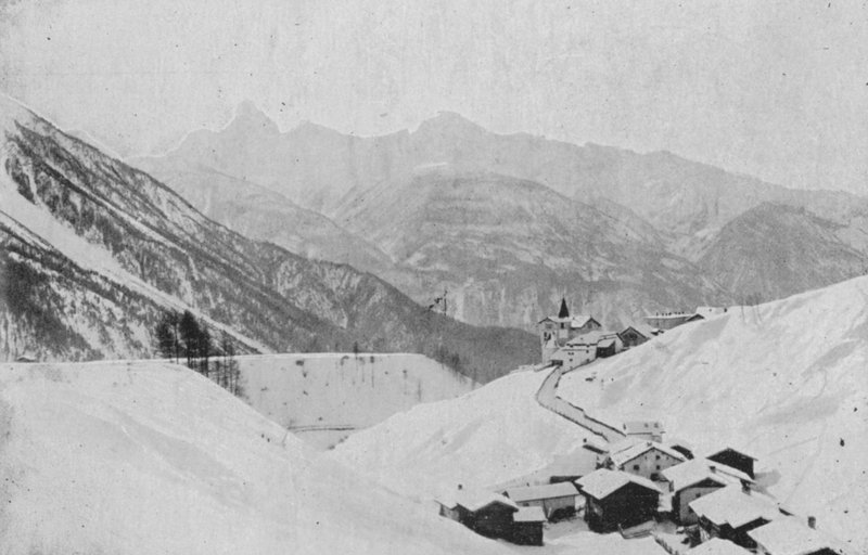 Wiesen nabij Davos door Swiss Photographer