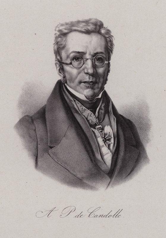 Augustin Pyramus de Candolle, Zwitserse botanicus door Swiss School