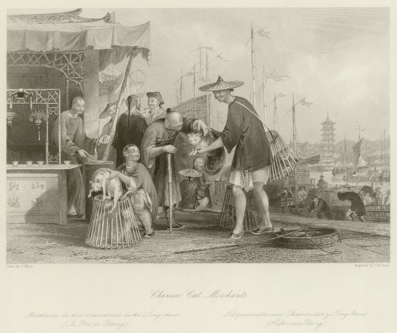 Chinese kattenhandelaren door Thomas Allom
