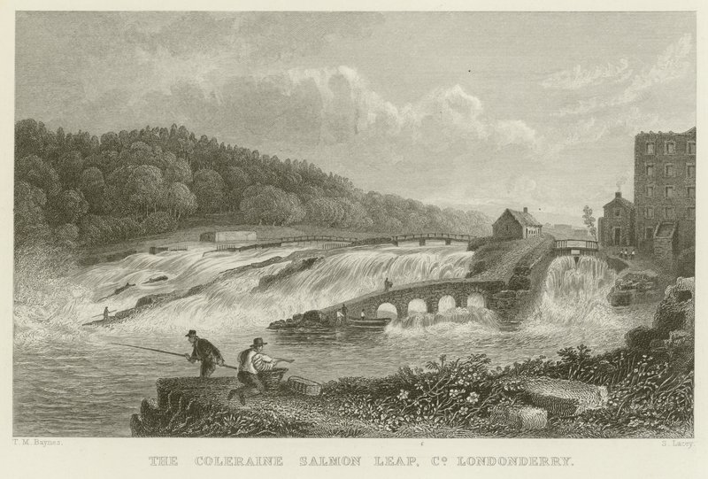 De zalmsprong van Coleraine door Thomas Mann Baynes
