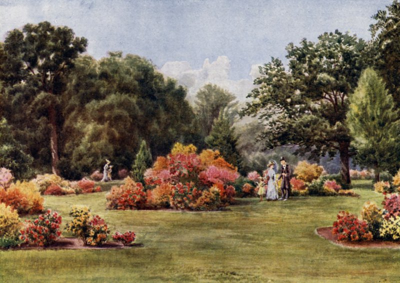 Kew Gardens: De Azalea