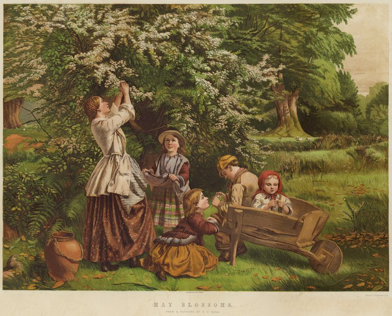 Meibloesems door Thomas P. Hall