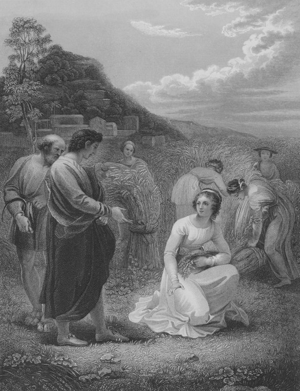 Ruth aan het Arenlezen, Ruth 2, Vers 1-15 door Thomas Stothard
