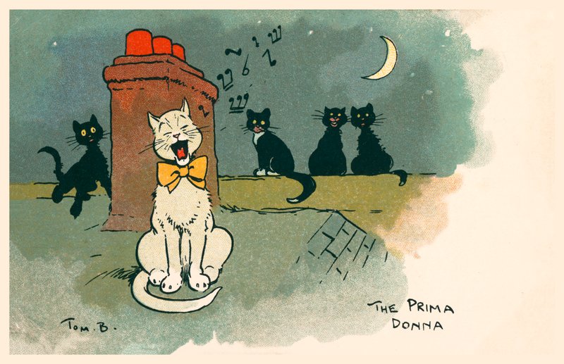 De Prima Donna door Tom Browne