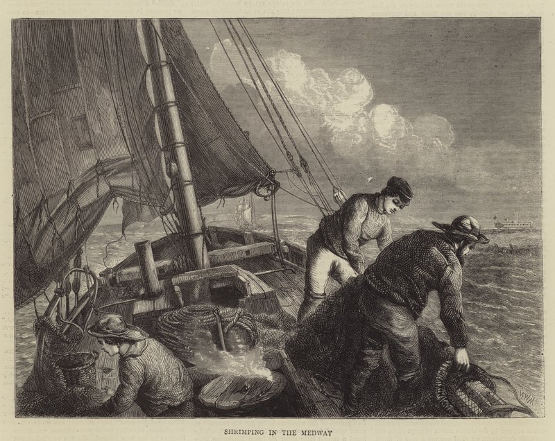 Garnalen vissen in de Medway door Walter William May