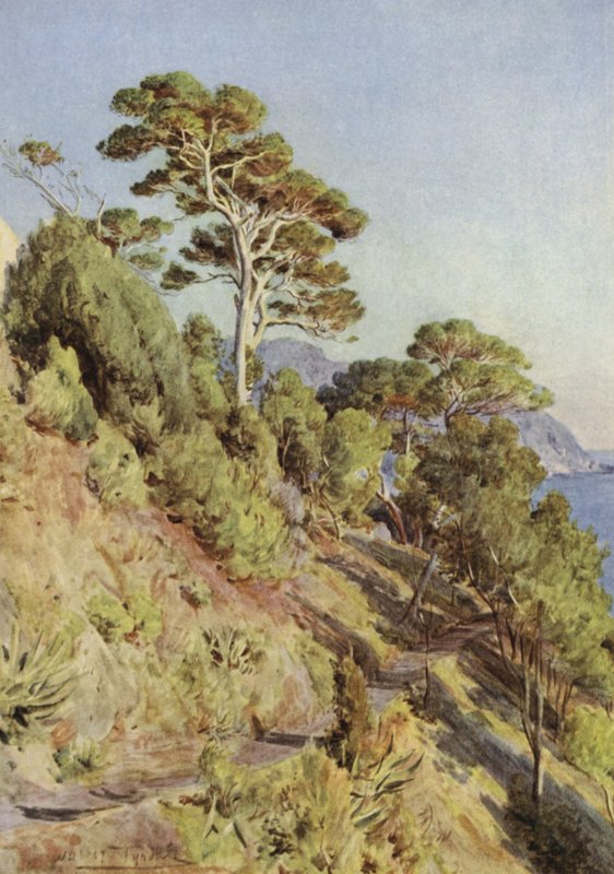 Villa Puma, Sestri Levante door Walter Frederick Roofe Tyndale