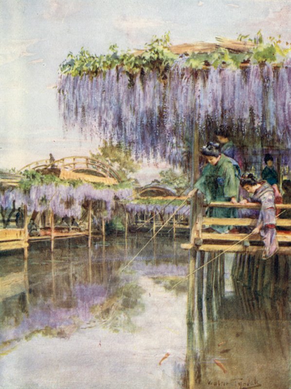 Wisteria in Kameido door Walter Frederick Roofe Tyndale