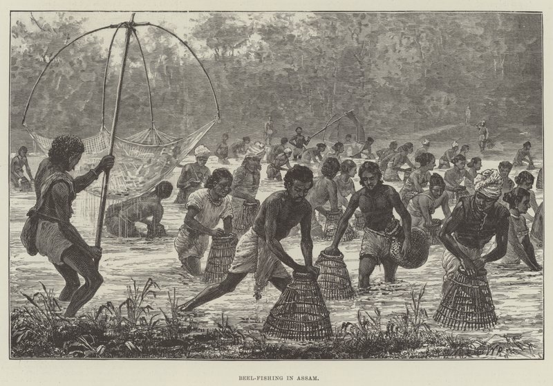 Beel-vissen in Assam door Walter Paget