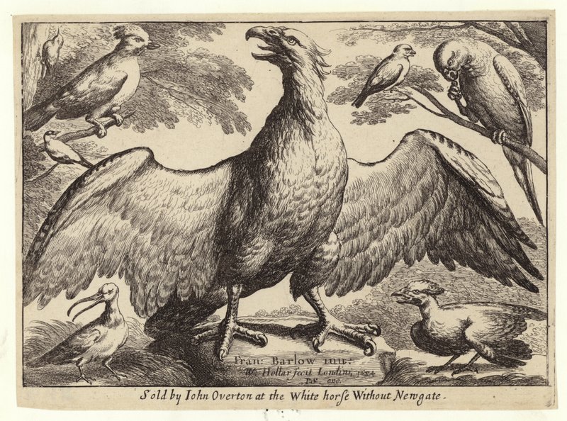 Adelaar en andere vogels door Wenceslaus Hollar