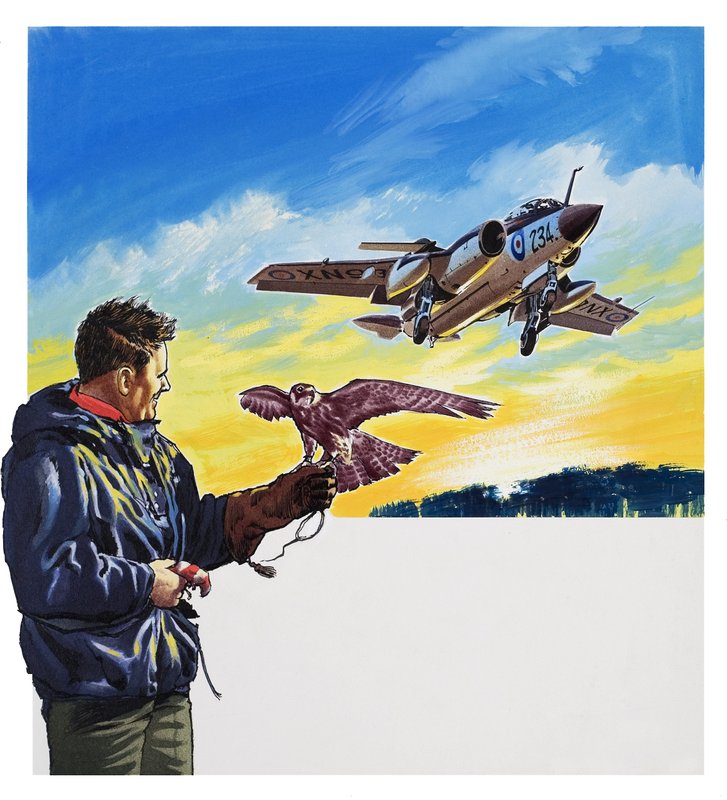 Falcon Flight (gouache op papier) door Wilf (20th century) Hardy
