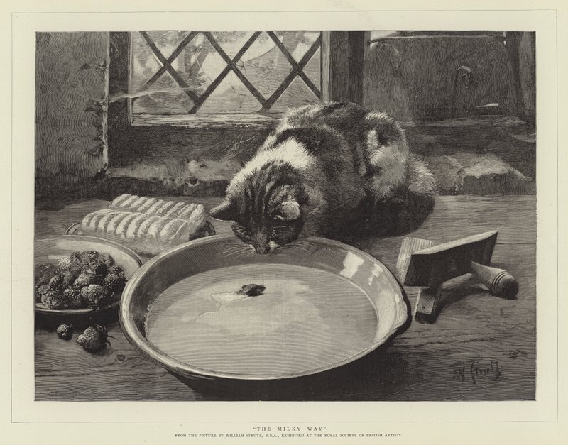 De Melkweg door William Strutt