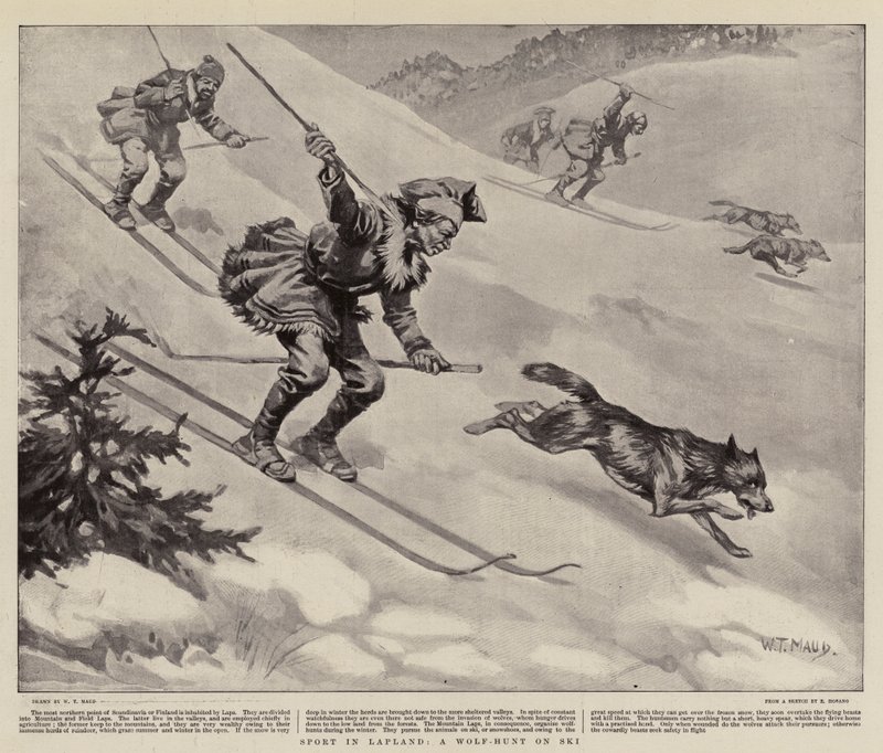 Sport in Lapland, Een Wolvenjacht op Ski door William T. Maud