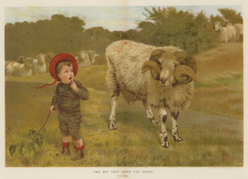 De jongen die de schapen dreef door William Weekes