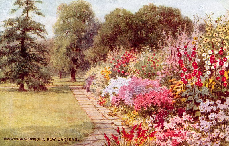 Kruidachtige Border, Kew Gardens door William Affleck Carruthers
