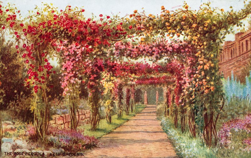 De Rozenpergola, Kew Gardens door William Affleck Carruthers