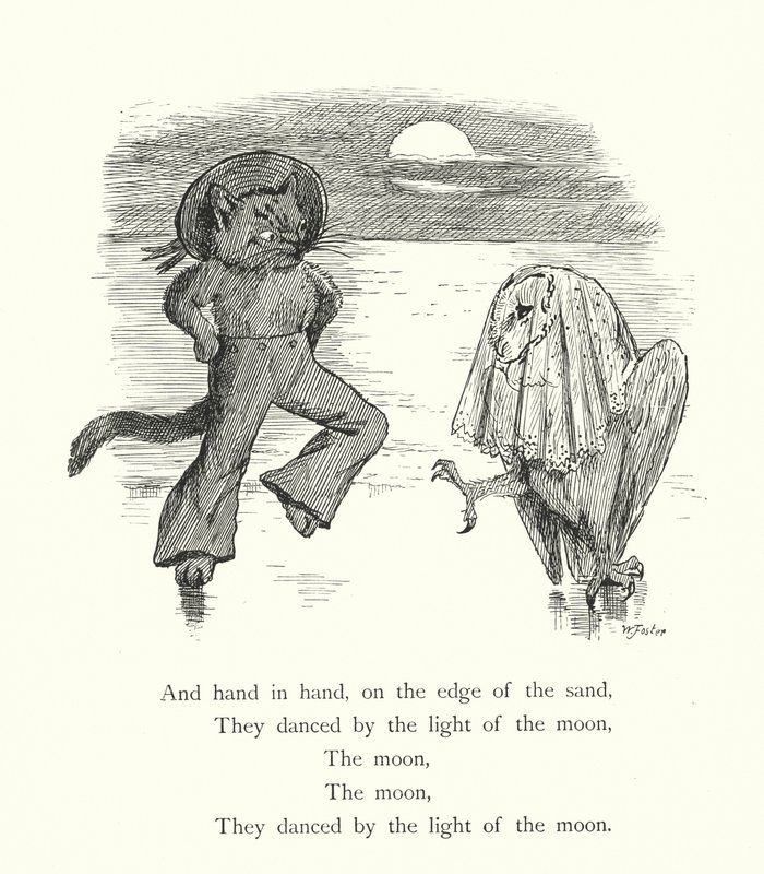 De uil en de poes (gravure) door William Foster
