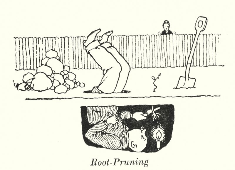 Wortelsnoei door William Heath Robinson