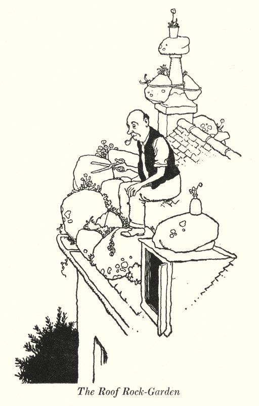 De dakrots-tuin door William Heath Robinson