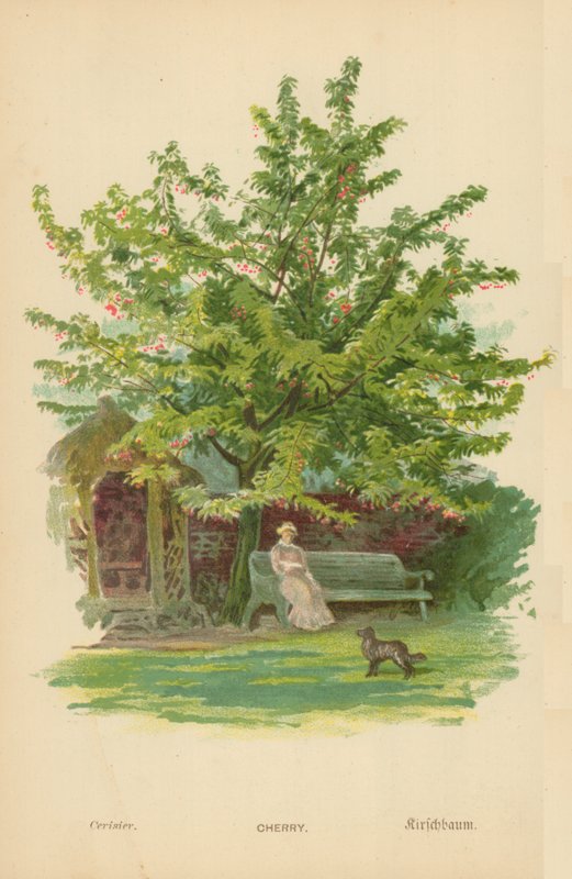 Kers door William Henry James Boot