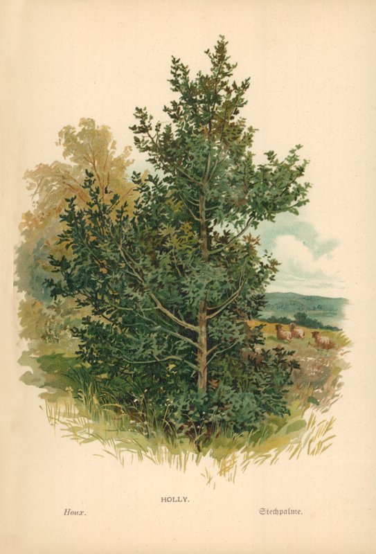 Hulst door William Henry James Boot