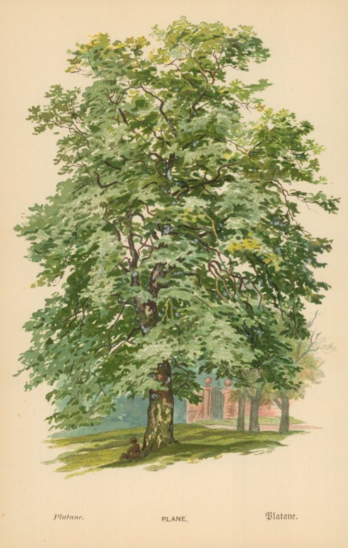 Vliegtuig door William Henry James Boot