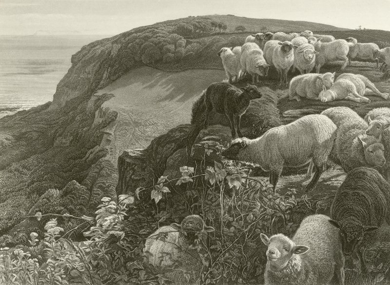 Op de heuvel (gravure) door William Holman Hunt
