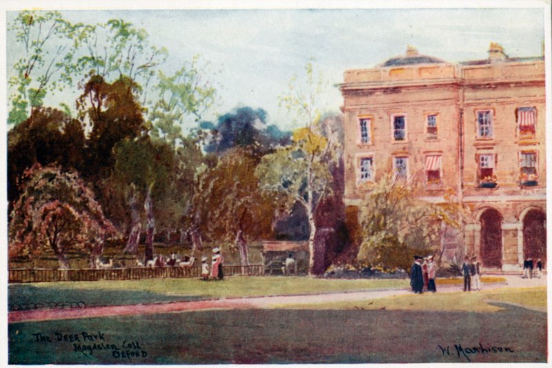 Het hertenkamp, Magdalen College, Nieuwe Gebouwen door William Matthison